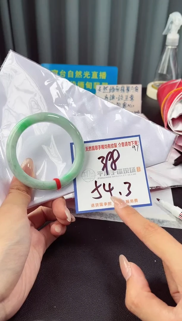 未镶嵌手镯翡翠11111