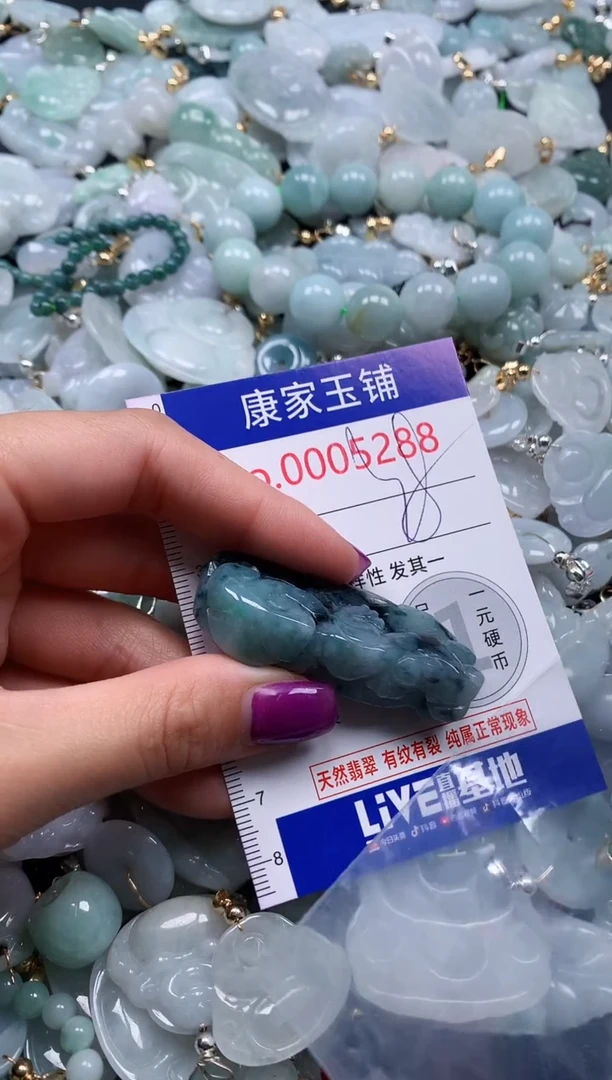 颈饰未镶嵌翡翠5288