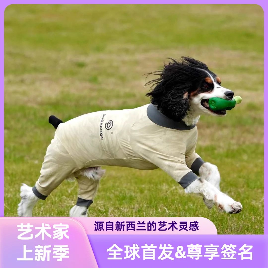DGDG衣服防泼水狗狗四脚户外衣2025新款狗狗户外服狗狗运动四脚衣