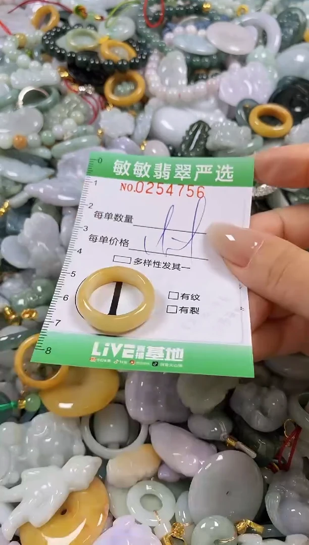 翡翠未镶嵌颈饰闪购0254756