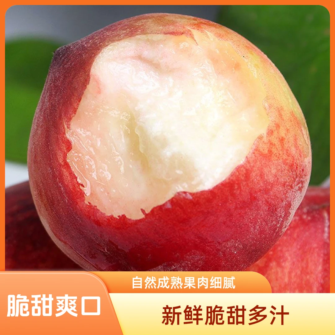 陕西水蜜桃脆甜毛桃新鲜水果当季现摘现发当季桃子皮薄肉厚脆鲜桃