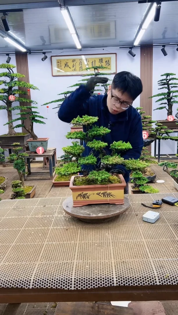 【闪购商品】一物一拍，所见即所得