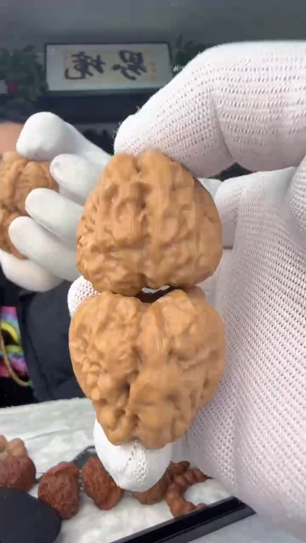 把件龙脊菩提十*蛤蟆