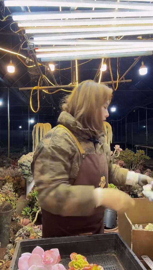 【闪购商品】框拍1号一物一拍微瑕不售后