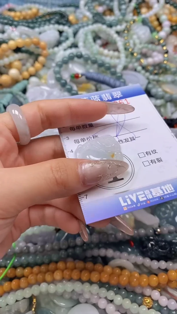 翡翠未镶嵌颈饰闪购0300961