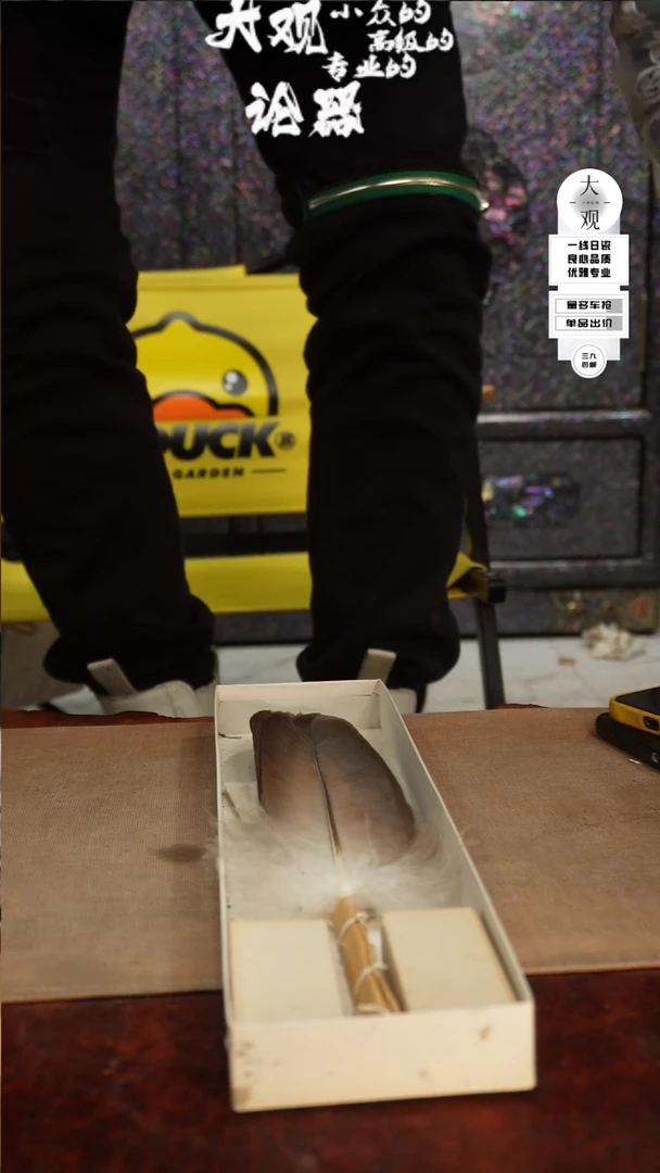 【闪购商品】瓷片大观论器灰扫