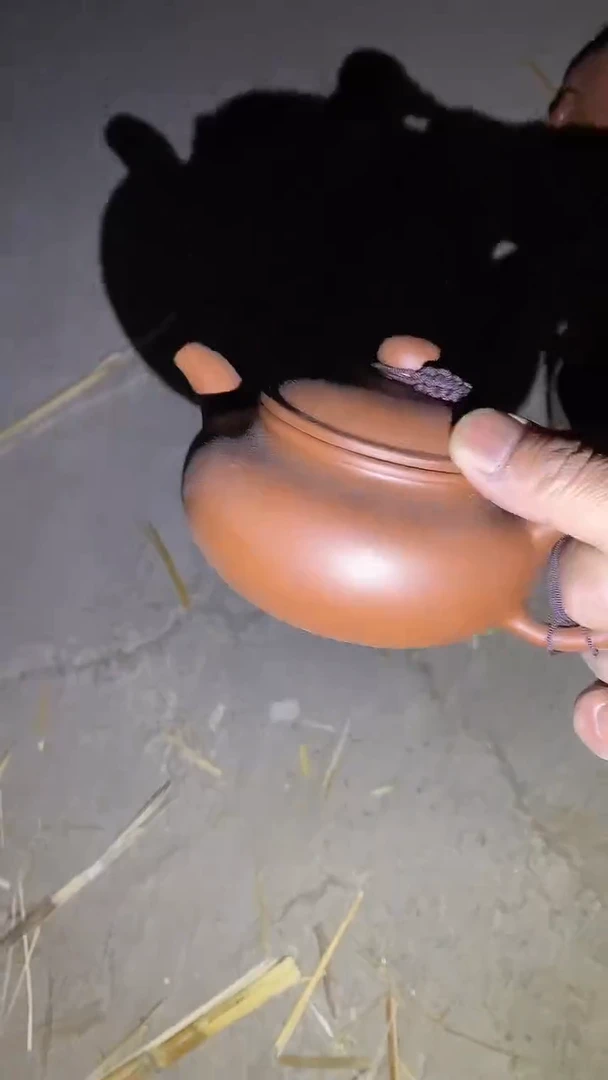 【闪购商品】紫砂茶壶47紫砂啊啊啊啊啊啊