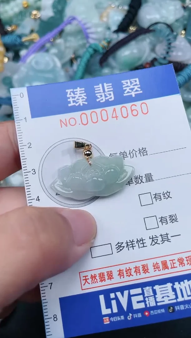 翡翠未镶嵌颈饰.0004060