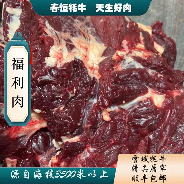 【牦牛大块牛腩】4斤 有牦牛毛筋膜多 炖煮/红烧