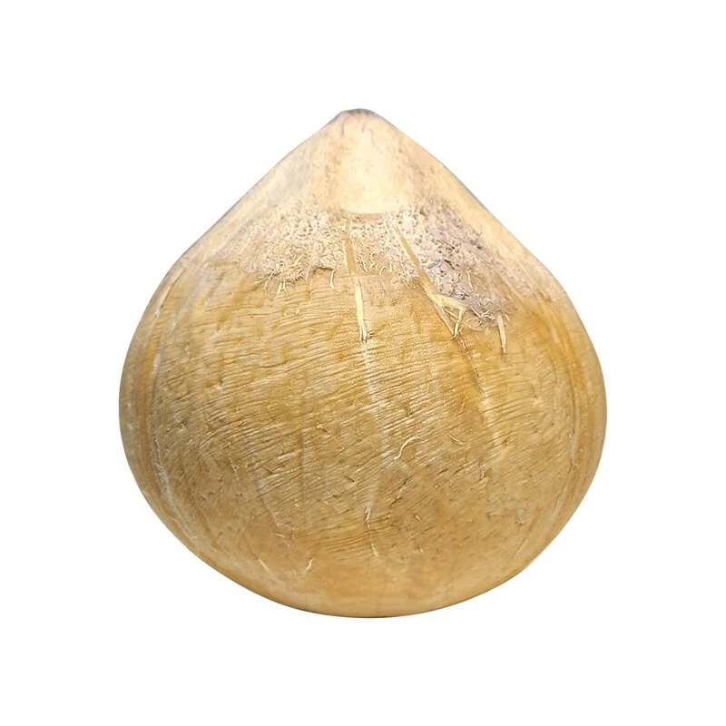 泰国老树椰皇水果