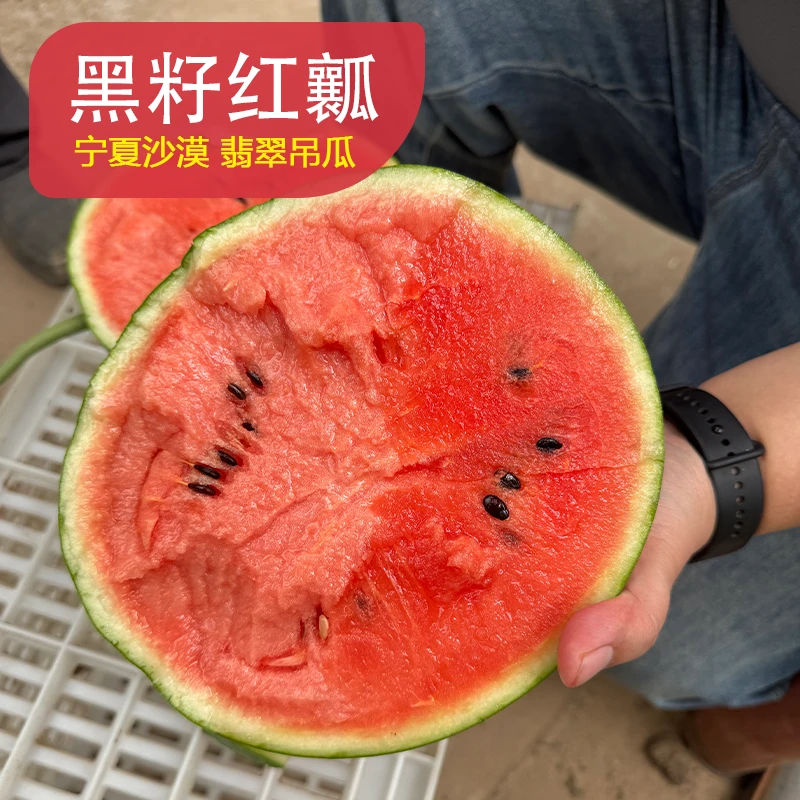 【EMS空运】宁夏花麒麟沙漠西瓜小吊瓜新鲜水果手撕皮薄脆甜爽