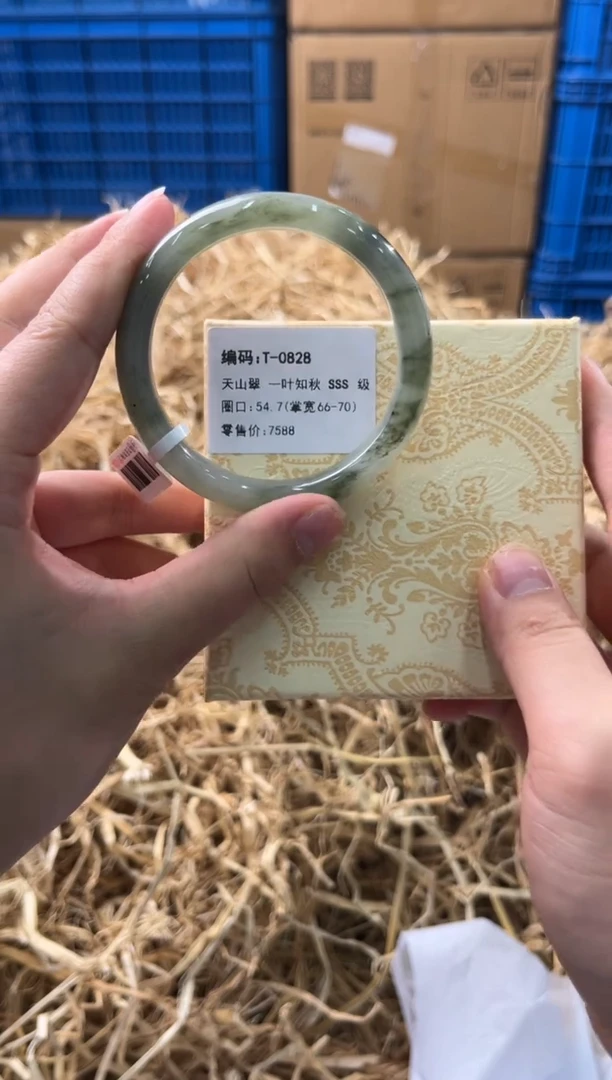 未镶嵌手镯石英质玉T-0828