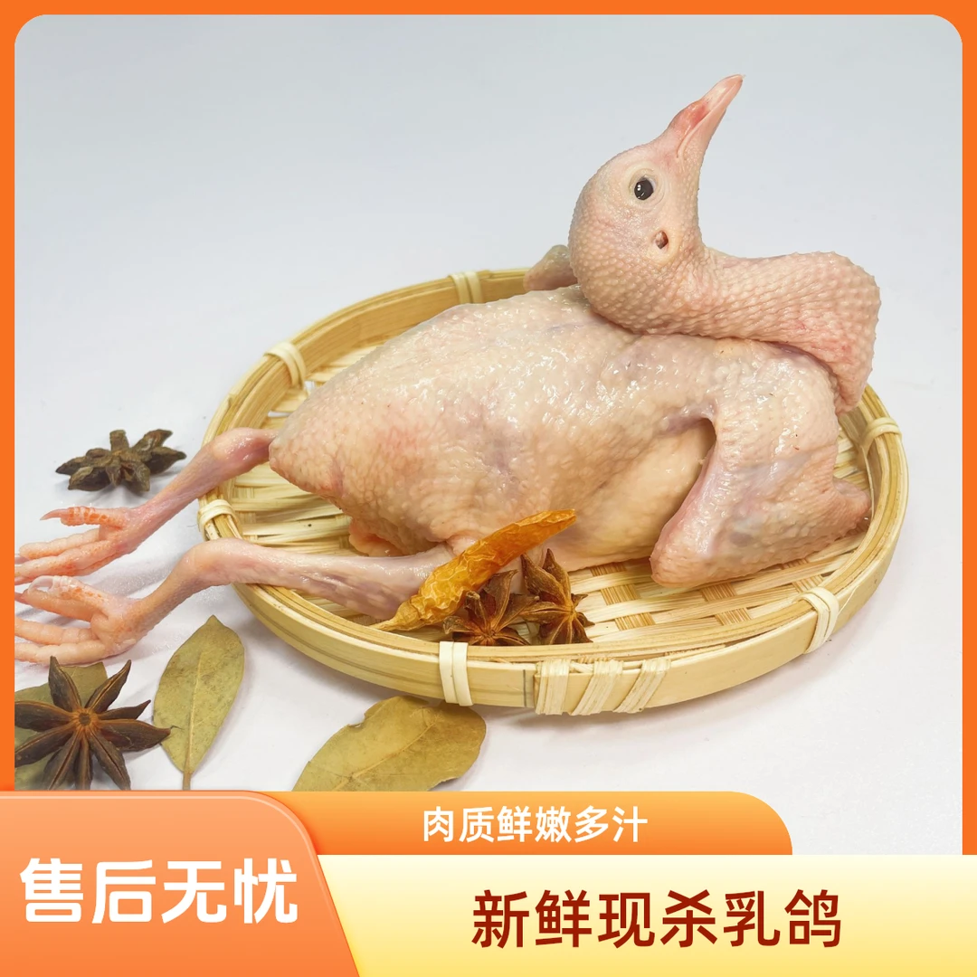 新鲜现杀肉鸽 拍4送2