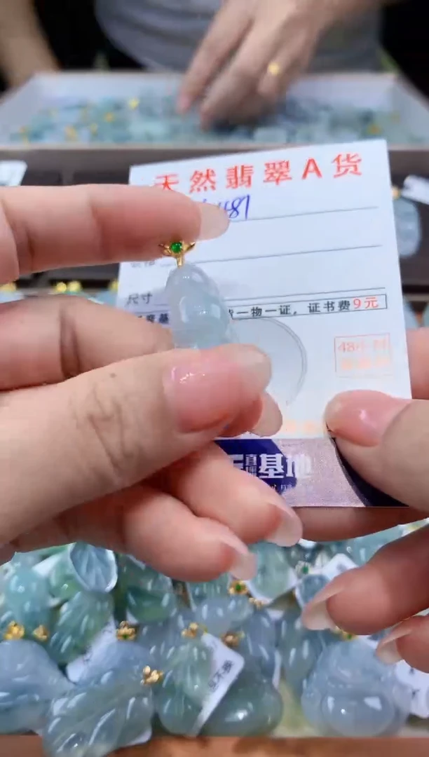 颈饰未镶嵌翡翠天然翡翠A货挂件