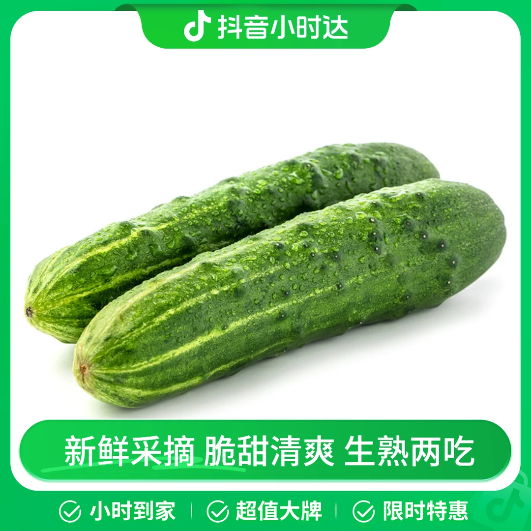旱黄瓜 480g/份黄瓜同城送黄瓜同城配