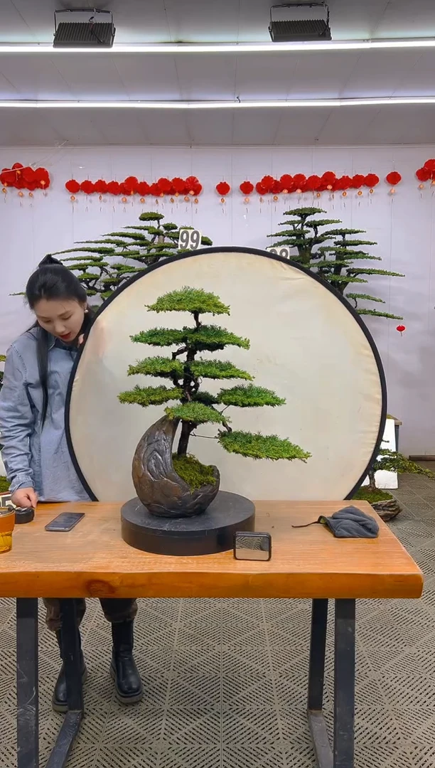 【闪购商品】盆景1