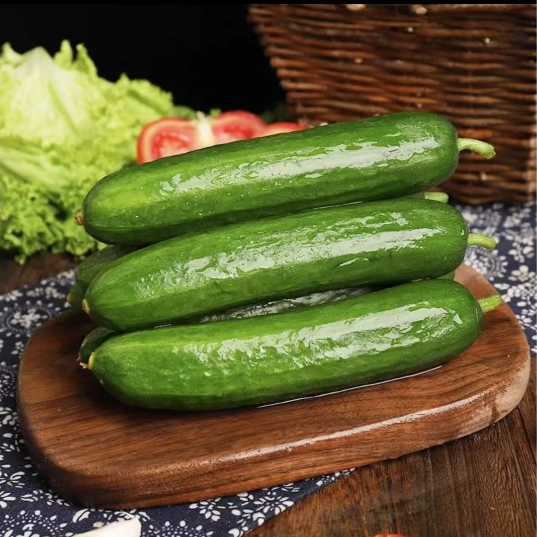 水果小黄瓜亦果亦蔬脆嫩爽口满口瓜香汁水四溢3-5斤