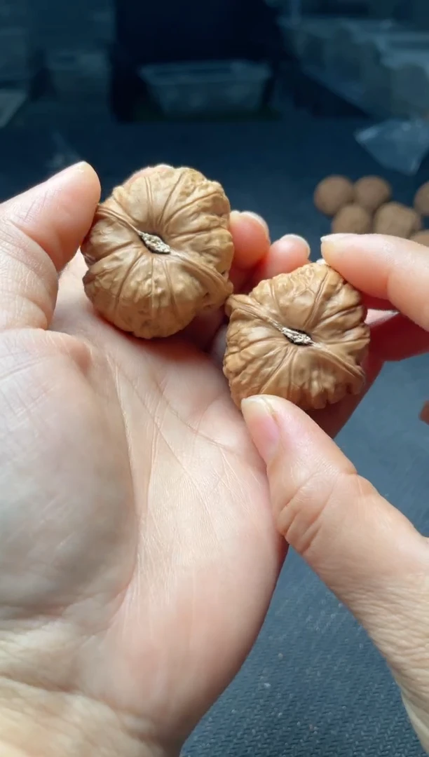 把件文玩核桃w198  南瓜墩 40尺