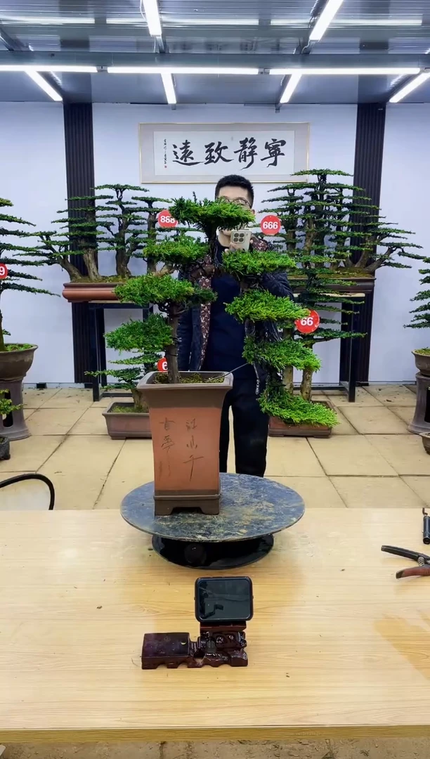 【闪购商品】0000000000000