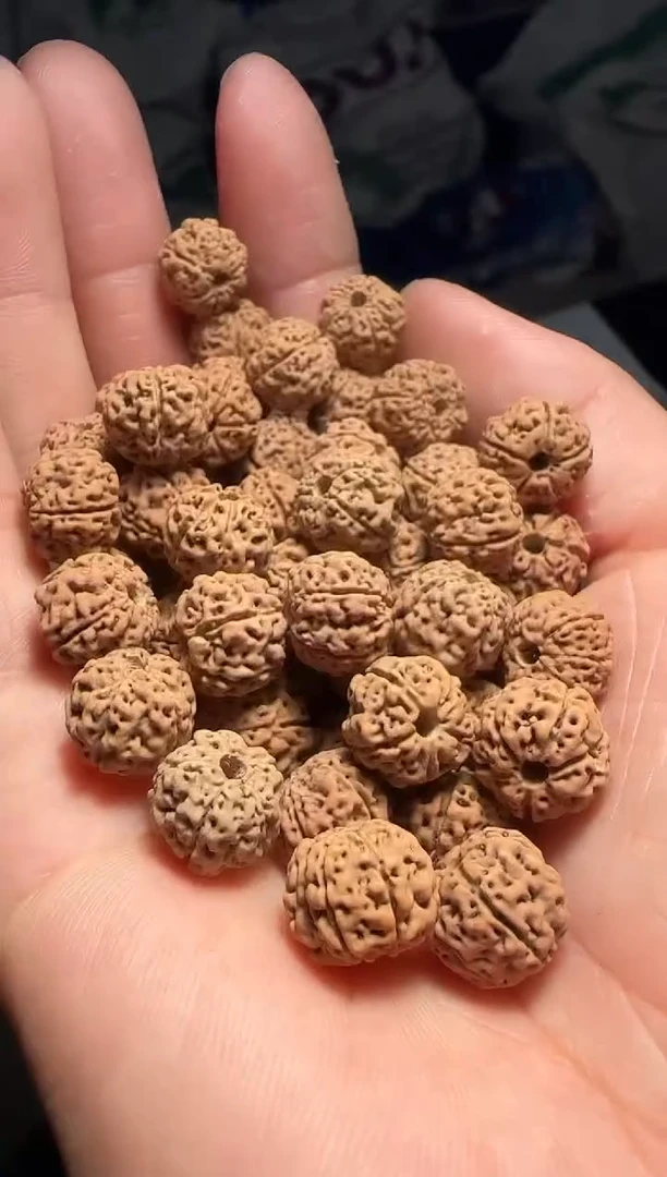 手串金刚菩提非全品天价蜂巢散籽10-11mm一份一百颗