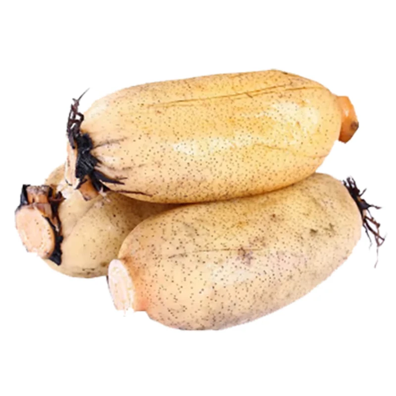 莲藕（称重退差） 约500g