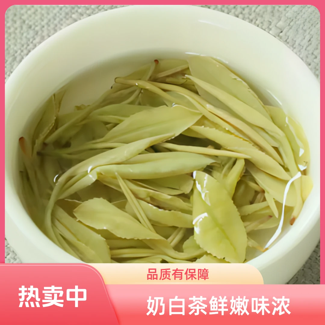 安吉 奶香味白茶  中秋国庆特惠
