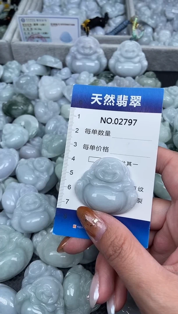 颈饰未镶嵌翡翠纯天然A货翡翠2797