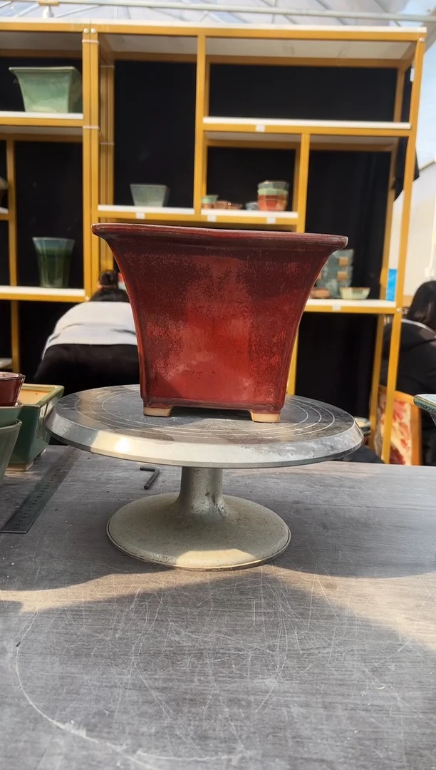 艺*57号红色一盆