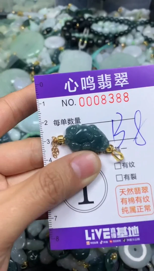 【闪购商品】翡翠颈饰未镶嵌闪购008388