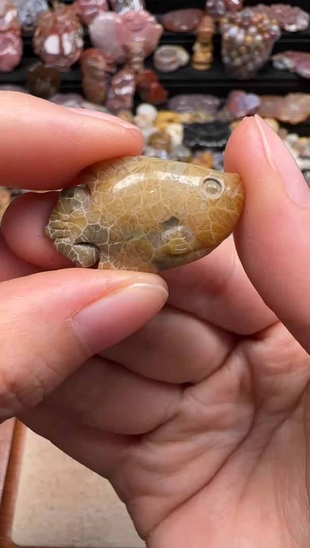 【闪购商品】硅化珊瑚（珊瑚玉）颈饰未镶嵌728