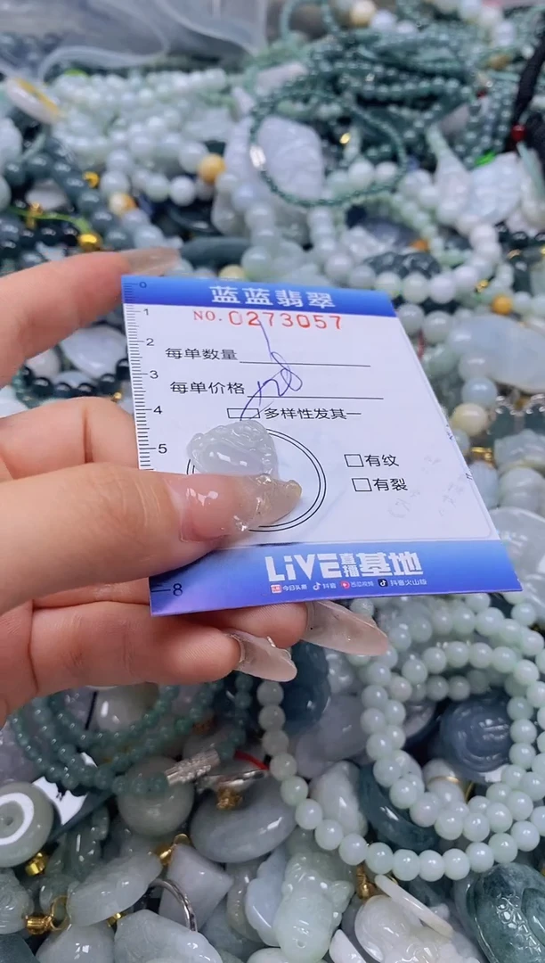 翡翠未镶嵌颈饰闪购0273057多样性发其一