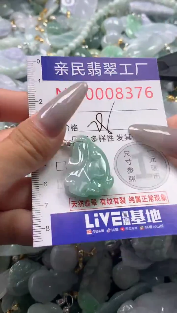 颈饰未镶嵌翡翠8376