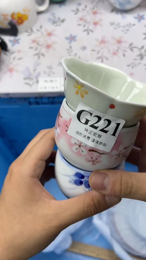瓷片          G221