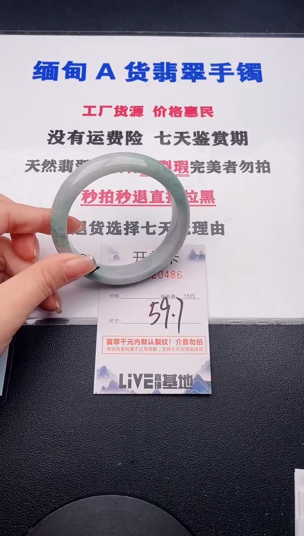 未镶嵌手镯翡翠86