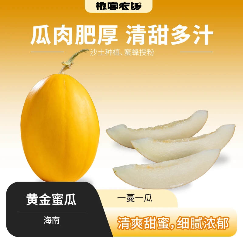 黄金蜜瓜刚收到脆嫩爽滑放几天后香甜软糯多汁自然清甜汁水4.5斤
