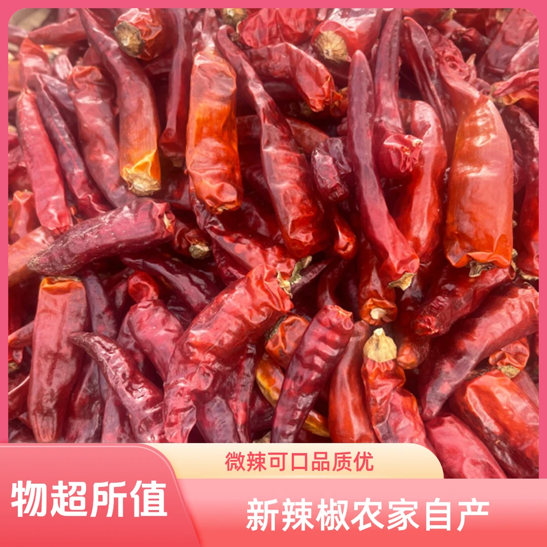 2025年新辣椒贵州本地辣椒微辣辣椒农家自产辣椒