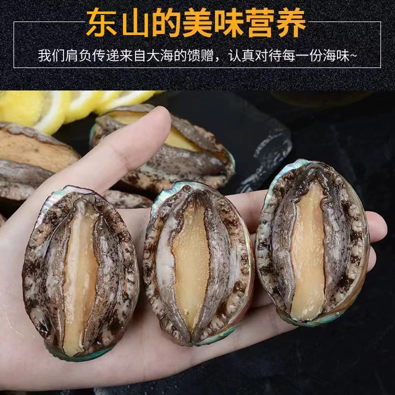 鲜活大鲍鱼中大规格5-6个/斤。充氧活发下单隔天到家贝壳