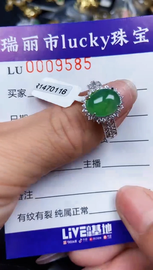 翡翠银S925镶嵌颈饰9585
