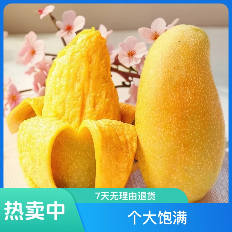 果园现摘金煌芒正宗海南新鲜芒果水仙芒大果当季热带时令水果爆甜