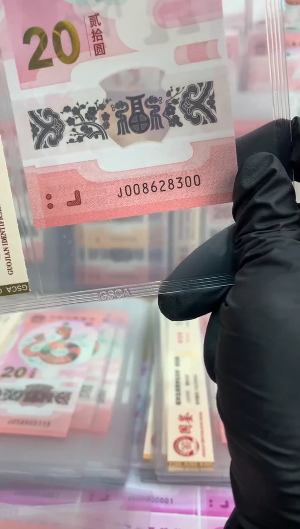 【闪购商品】塑料蛇钞 真钞【单张】8300