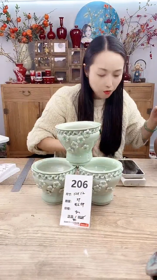 【闪购商品】红陶206