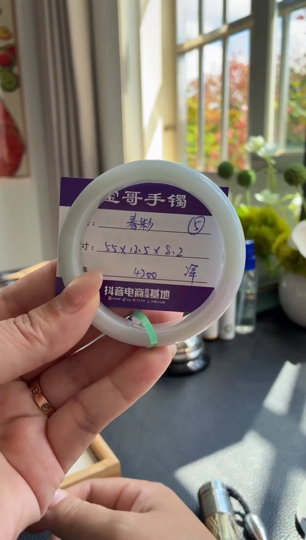 未镶嵌手镯翡翠翡翠手镯 5
