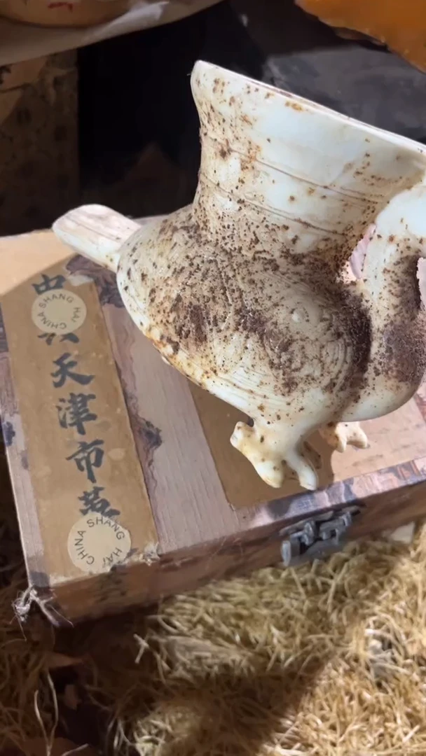 香榧木（1个小复利）