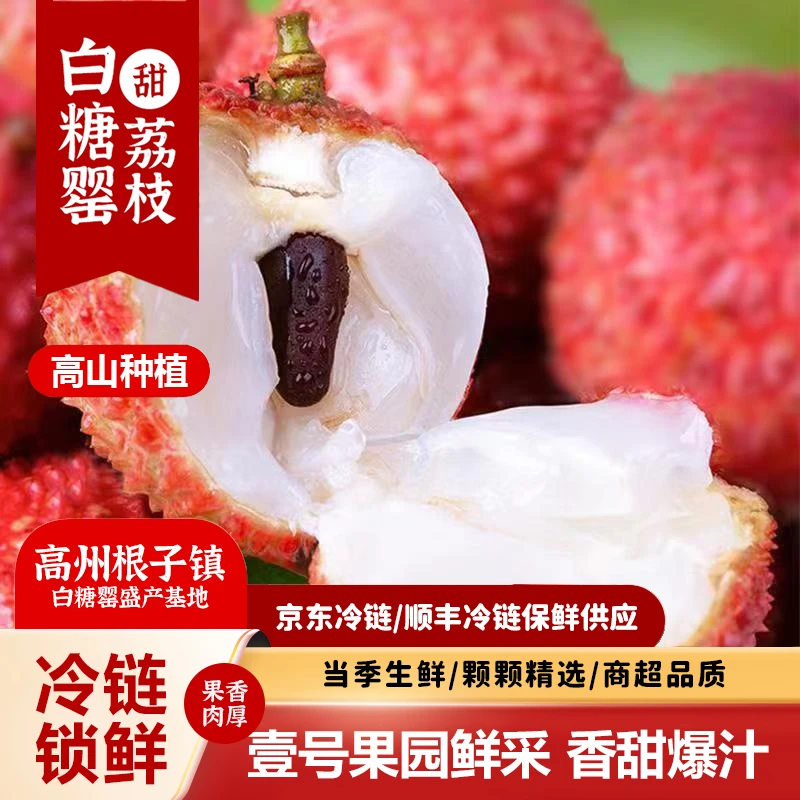 茂名新鲜荔枝白糖罂当季新鲜水果发京东顺丰（鲜采荔枝）批发香甜