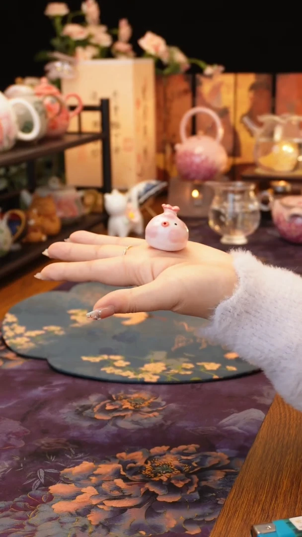 【闪购商品】泡泡鱼茶宠······