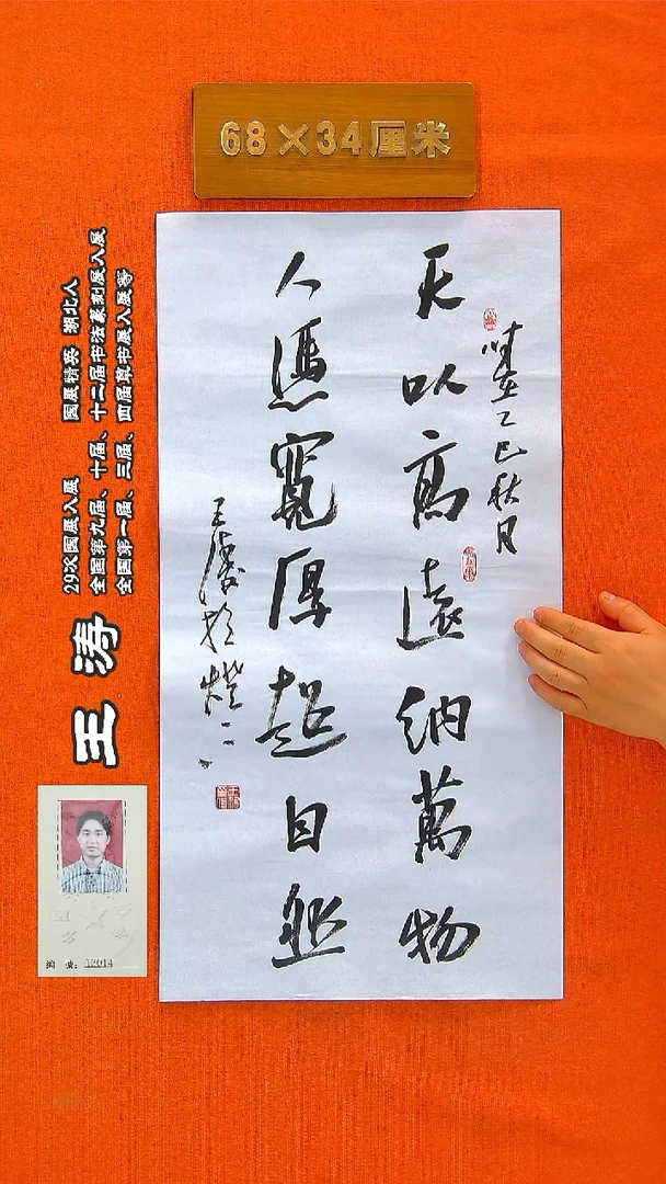 书法65a王涛书法作品