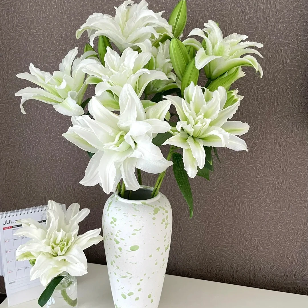 爱莎多头重瓣百合5支/扎