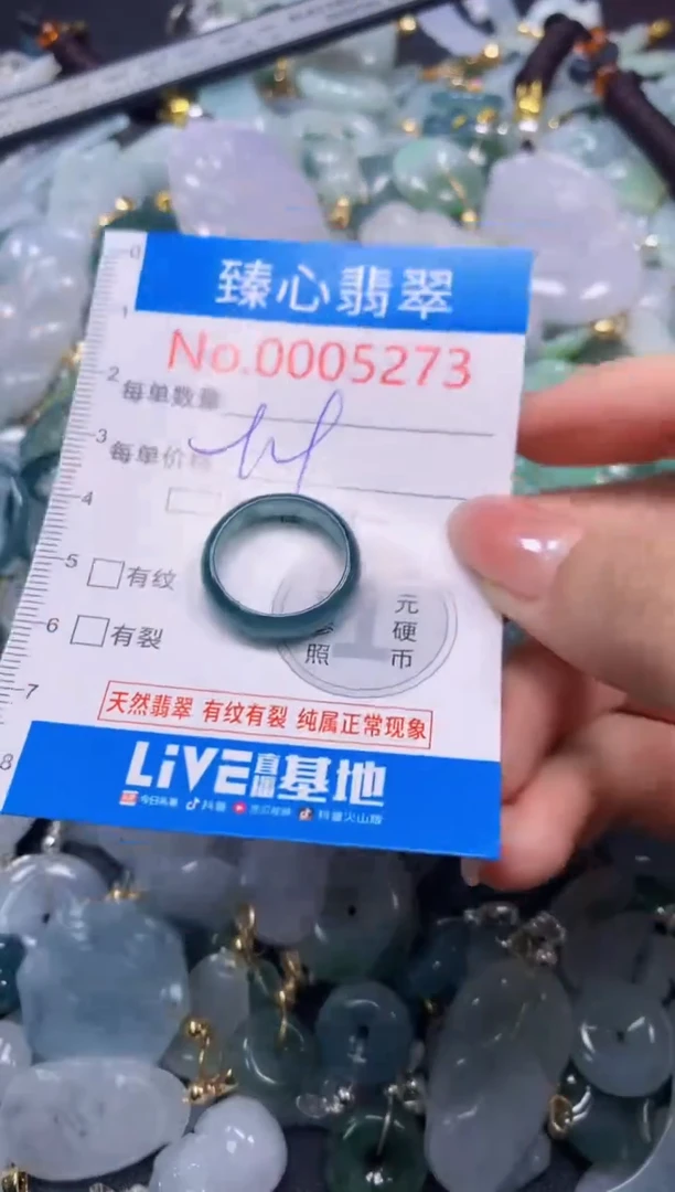 吊坠(不含链)未镶嵌翡翠5273