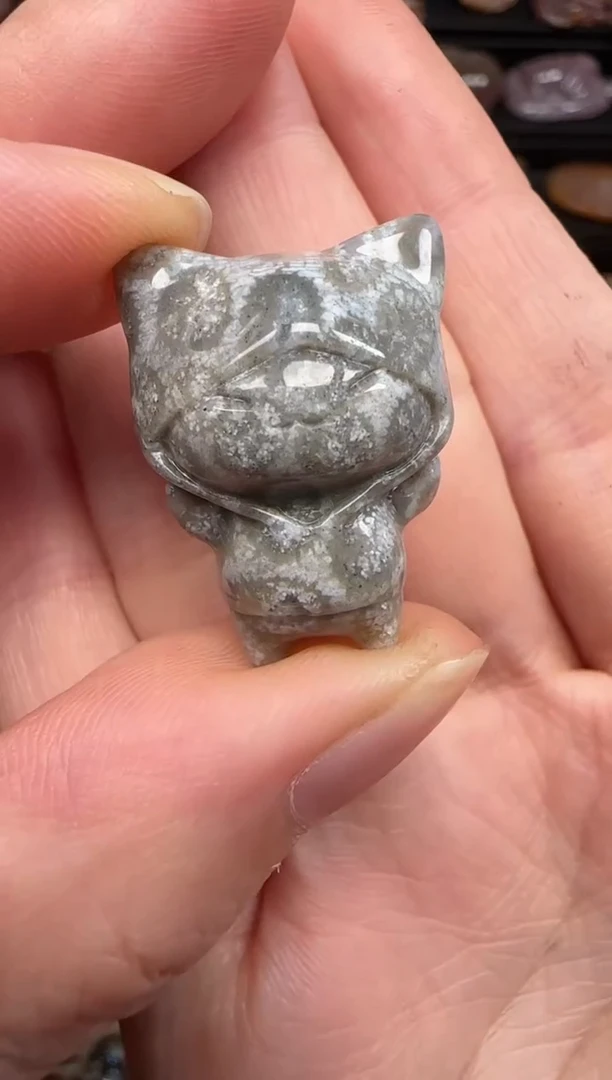 硅化珊瑚（珊瑚玉）未镶嵌颈饰147