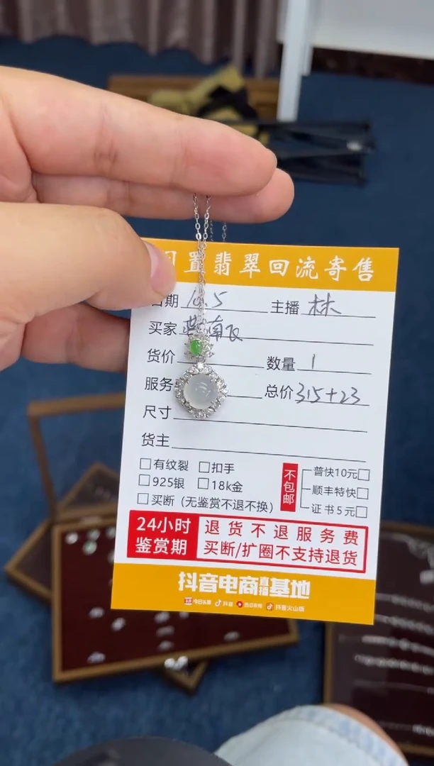 颈饰银S925镶嵌翡翠嬿*飞浅色